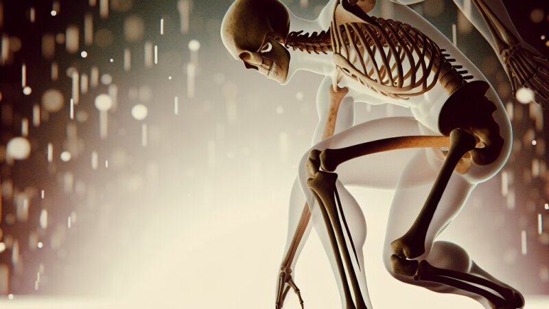 Bewegen: hoe botten, gewrichten en spieren samenwerken