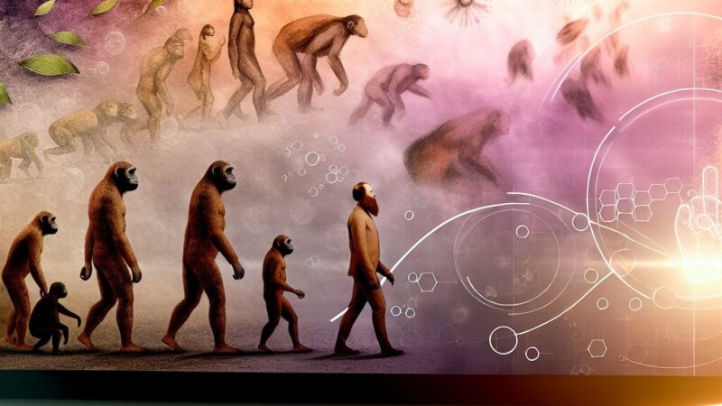 Charles Darwin en de impact van zijn evolutietheorie op de wetenschap